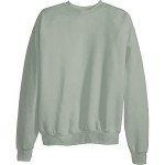 Hanes Men's EcoSmart Sweatshirt, stonewashed green, Medium