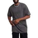 Champion mens Classic Jersey Tee Shirt, Granite Heather, X-Large US