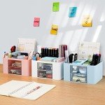 Plastic Desk Organizer with 2 Drawers - White