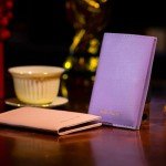 Colorful Passport Holder Wallet for Travel Essentials
