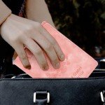 Passport Holder & Vaccine Card Case Combo (Pink)