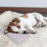 Mini Gray Pillow for Sleeping and Travel