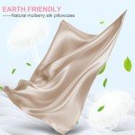 Champagne Mulberry Silk Pillow Case – Soft & Smooth