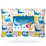 Dino Toddler Pillow with Case - 14x19 Inches