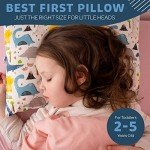 Dino Toddler Pillow with Case - 14x19 Inches