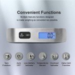 Portable Digital Luggage Scale for Travel - Silver
