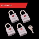 4-Pack TSA-Approved Luggage Locks - Brass
