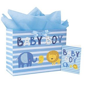 Baby Boy Gift Bag with Tissue and Card