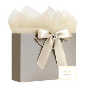 Large Gift Bag with Ribbon & Card Set