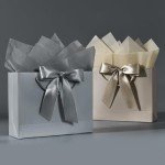 Large Gift Bag with Ribbon & Card Set