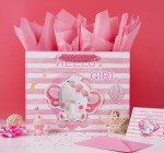 Large Baby Girl Gift Bag with Tissue Paper