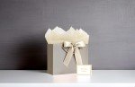 Large Gift Bag with Ribbon & Card Set