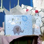 Large Baby Boy Gift Bag with Card & Tissue Paper