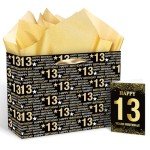 Black Gold 13th Birthday Gift Bag and Card