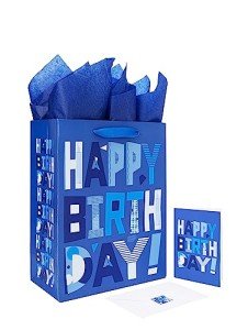 Large Blue Gift Bag Set with Card & Tissue