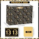 Black Gold 13th Birthday Gift Bag and Card
