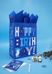 Large Blue Gift Bag Set with Card & Tissue