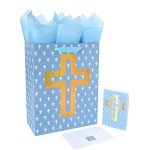 Large Blue Gift Bag Set with Card & Tissue