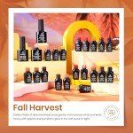 23-Piece Fall Gel Nail Polish Set
