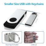 ABLAZE 2GB USB Flash Drive 2 Pack, Metal Flash Drive USB 2.0 Thumb Drives with Keychains USB Stick 2GB USB Drive Pendrive