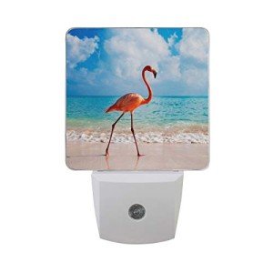 Flamingo LED Night Lights - 2 Pack