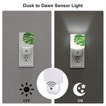 Monstera Leaf LED Night Light with Sensor