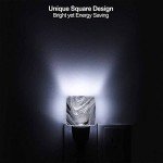 Metallic LED Night Light with Dusk to Dawn Sensor