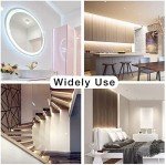 20ft White LED Strip Light – Dimmable & Bright