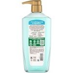 Garnier Whole Blends Coconut Water Shampoo 26.6 oz