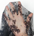 Black Lace Long Sleeve Sheer Women's Top