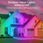 16.4Ft Flexible Neon Rope Lights with App Control