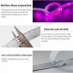 32.8ft RGB LED Strip Lights with Remote