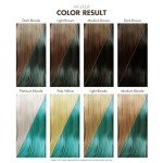 Vegan Green Hair Dye - 4 Oz - Jade