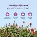 Lily Of The Desert Aloe Vera Moisturizer, 8 Fl Oz