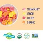 YumEarth Organic Fruit Chews - Allergy Friendly Snacks