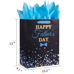 Father's Day Gift Bag with Tissue Paper