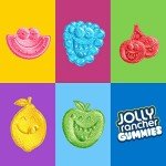JOLLY RANCHER Sour Gummies Assorted Fruit Candy