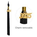 Matte Graduation Cap with 2025 Tassel - Black