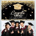 2025 Graduation Decorations: Banner and Backdrop Set