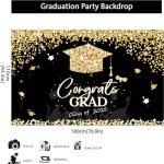 2025 Graduation Decorations: Banner and Backdrop Set