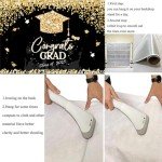 2025 Graduation Decorations: Banner and Backdrop Set
