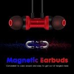 Palovue USB Type C Earbuds with Mic and Control