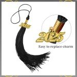 Adjustable Graduation Cap with 2024-2025 Tassel