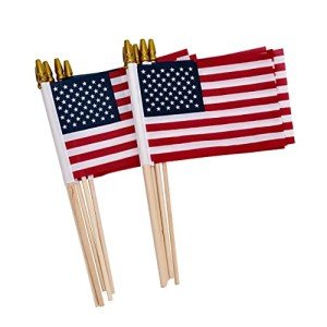 12 Pack Mini American Flags on Sticks
