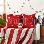 Patriotic Throw Pillow Covers – Set of 4