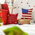Patriotic Throw Pillow Covers – Set of 4
