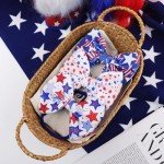 Patriotic Hair Accessories for Girls - Under $10