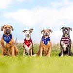 American Flag Bandanas for Dogs and Cats - 4 Pack