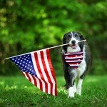 American Flag Bandanas for Dogs and Cats - 4 Pack