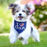 American Flag Bandanas for Dogs and Cats - 4 Pack